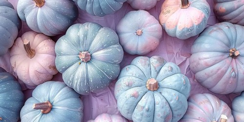 Banner with pastel pink and blue muscade pumpkins. Generative AI, AI generated