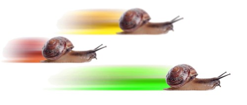 Concept. fast snail with colored silhouette. Focus on front snail