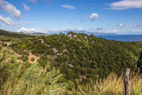 Great typical Greek landscape, Mediterranean nature of Greece. Landscape shot in the evening,