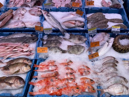 Display in a fish counter in a supermarket, fresh fish, fresh fish, gurnard, perch, bream, moray