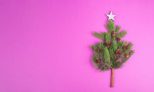 Christmas tree made from fir branches, pine cones and a cinnamon stick as the trunk, pink greeting
