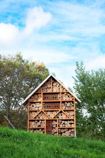 Wooden insect hotel, habitat for bugs and bees, rescue house, environment and ecology conversation,