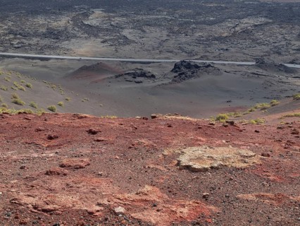 Red-brown volcanic landscape with scattered yellow plants under a grey sky, arrecife, Lanzarote,