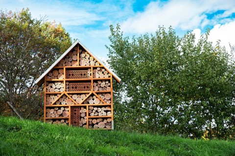 Wooden insect hotel, habitat for bugs and bees, rescue house, environment and ecology conversation,