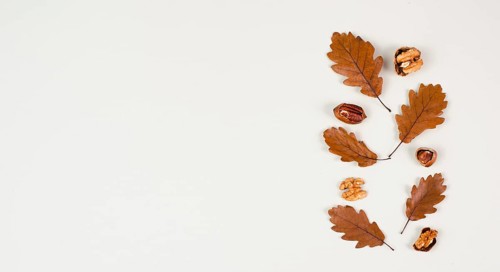 Autumn season background, frame with colorful foliage, brown oak leaves and nuts, greeting card