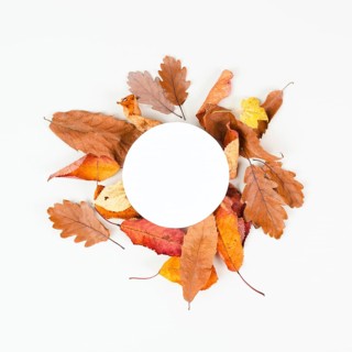 Autumn season background, frame with colorful foliage, brown, red and yellow leaves, greeting card