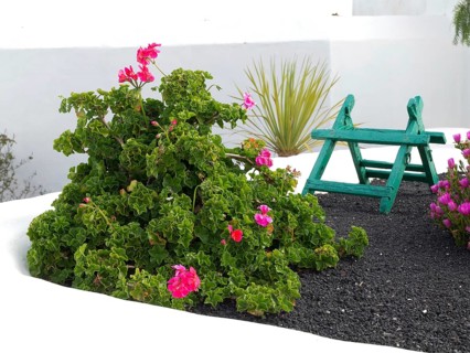 Garden with green plants and pink flowers, next to a small, green painted wooden chair, arrecife,