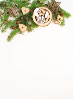 Nurnberg elisen gingerbread mix, traditional german christmas sweets with fir branches and pine