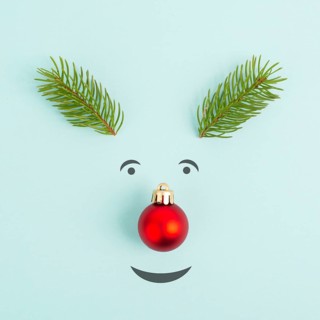 Face of a reindeer with a red bauble nose, fir antlers and friendly eyes, merry christmas greeting