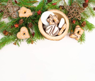 Nurnberg elisen gingerbread mix, traditional german christmas sweets with fir branches and pine