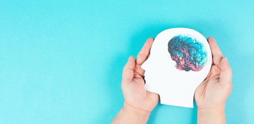 Holding a head with a brain in the hands, Parkinson disease, Alzheimer awardness, mental disorder