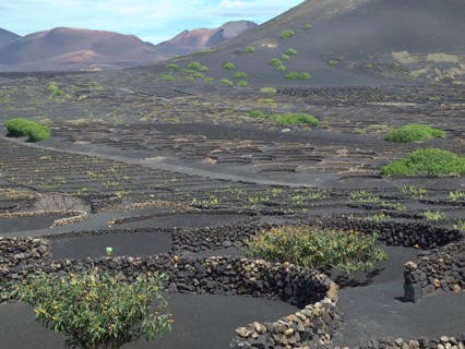 Black lava fields with some green bushes and volcanic hills in the background, arrecife, Lanzarote,