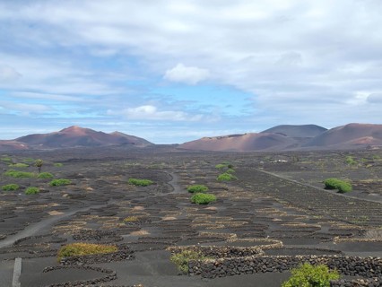 Landscape with lava fields and scattered green bushes under a partly cloudy sky, arrecife,