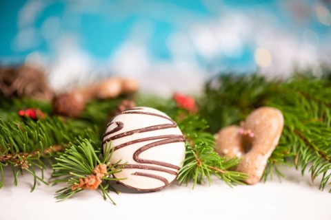 Nurnberg elisen gingerbread mix, traditional german christmas sweets with fir branches and pine