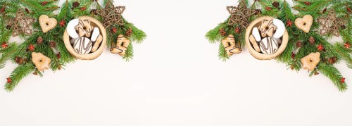 Nurnberg elisen gingerbread mix, traditional german christmas sweets with fir branches and pine