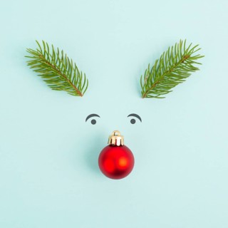 Face of a reindeer with a red bauble nose, fir antlers and friendly eyes, merry christmas greeting
