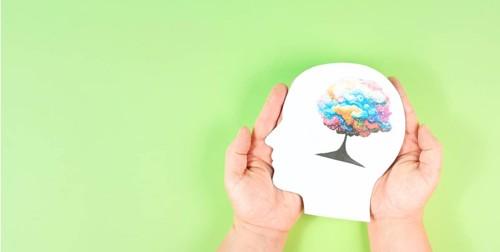 Holding a head with a colorful tree in the hands, symbol for creativity, connection to nature and