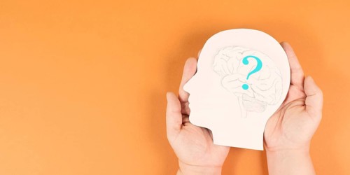 Head with a brain and question mark, education and business concept, searching for answers,
