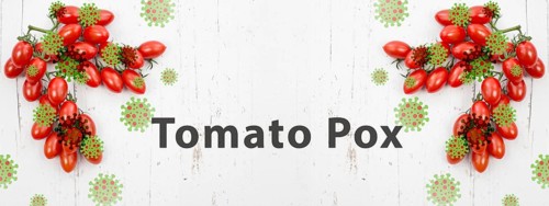 Tomato pox, outbreak of the virus in India, infectious disease spreading
