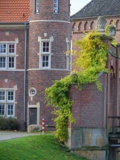 A detail of a historic castle with red brick walls, windows and ivy, embedded in an autumnal
