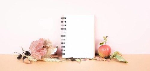 Empty notebook with an apple and a hedgehog, autumn background with colorful leaves, office desk,