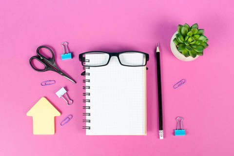 Empty notebook with a pen, eyeglasses and a cactus on a pink colored desk, brainstorming for new