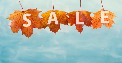Autumn sale background with colorful leaves, discount tag, business promotion template, copy space