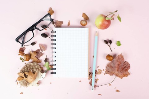 Empty notebook with eyeglasses, an apple and a hedgehog, autumn template with colorful leaves,