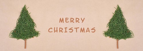 Christmas trees made from fir needles, holiday greeting card, winter season