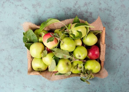 Basket with fresh ripe apples standing on a table, fruit harvest in the summer, healthy organic