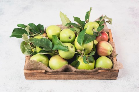 Basket with fresh ripe apples standing on a table, fruit harvest in the summer, healthy organic