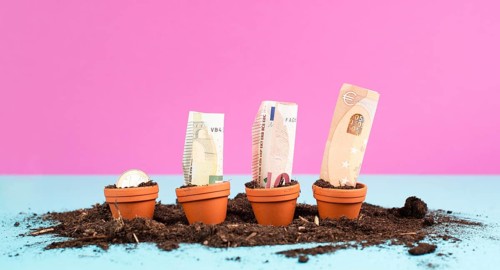 Euro banknotes in small flowerpots, money growing, financial planning, profitable investment, hope