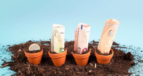 Euro banknotes in small flowerpots, money growing, financial planning, profitable investment, hope