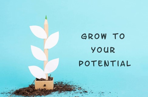 Plant made from a pencil and paper, the phrase grow to your potential is standing on the