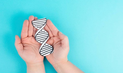 Holding a DNA strand in the hand, genetic therapy and treatment, biotechnology in mordern medicine,