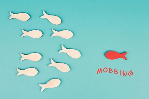 Group of fish mobbing a victim, social conflict, bullying one, discrimination and exclusion