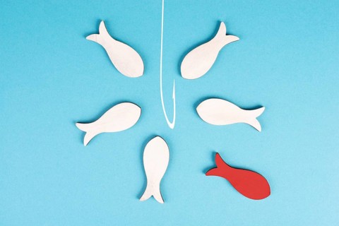 One red fish takes a different direction, leader of the group, leadership and teamwork concept, be