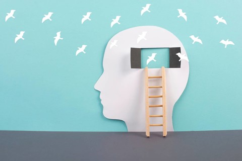 Silhouette of a man, window to the brain, birds flying, ladder of success, open minded,