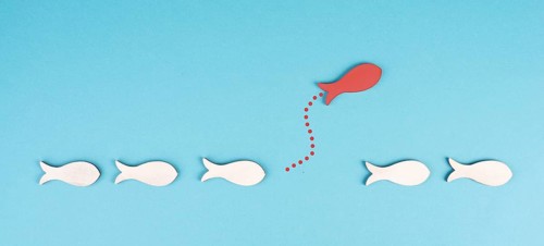 One red fish takes a different direction, leader of the group, leadership and teamwork concept, be