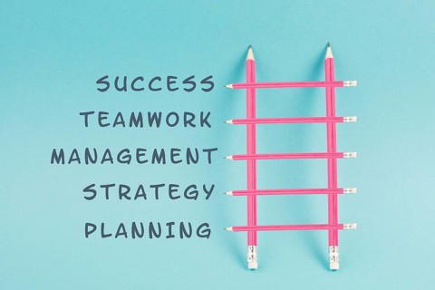 Ladder of success build with pencils, planning a strategy, teamwork for success step by step
