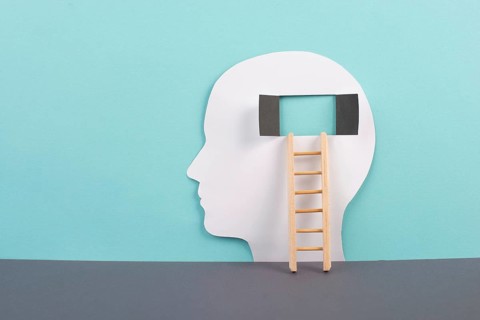 Silhouette of a man, window to the brain, ladder of success, open minded, brainstorming for ideas,