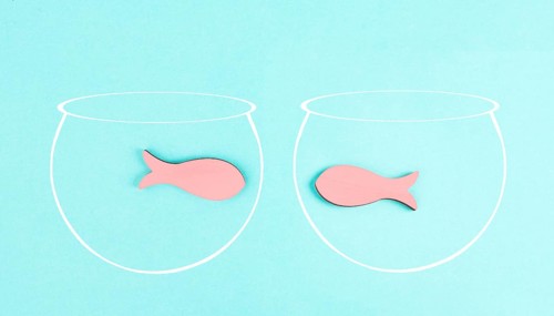 Two little fish in separated aquariums looking at each other, freedom and friendship concept,