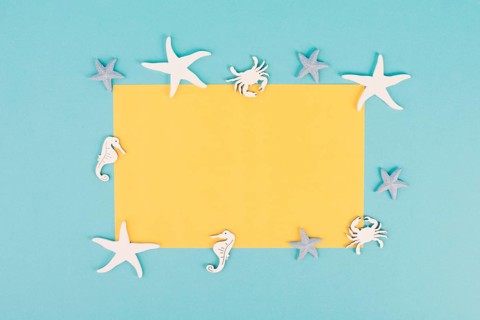 Empty yellow colored paper, sea stars, seahorses and crab bulding a frame, summer vacation, tourism