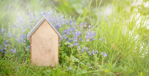 Wooden house in a meadow, buying or renting a house in nature, real estate concept, booking home