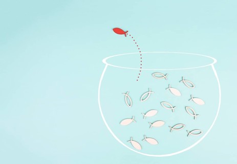 One fish is the leader of the group, leadership and teamwork concept, be a winner, success and