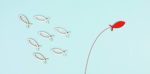 One fish is the leader of the group, leadership and teamwork concept, be a winner, success and