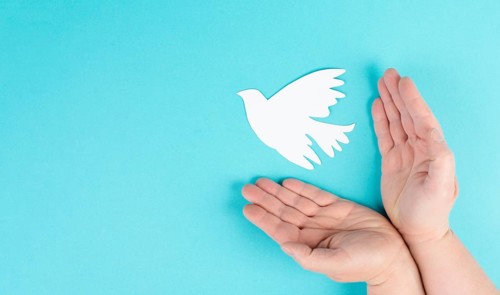 Holding a white dove in the hands, symbol of peace, paper cut out pigeon, copy space for text, blue