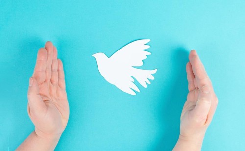 Holding a white dove in the hands, symbol of peace, paper cut out pigeon, copy space for text, blue