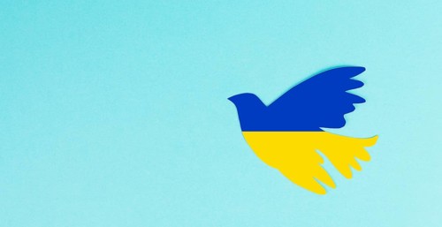 Ove in the colors of the ukrainian flag, symbol for peace and hope, pigeon bird in blue and yellow,