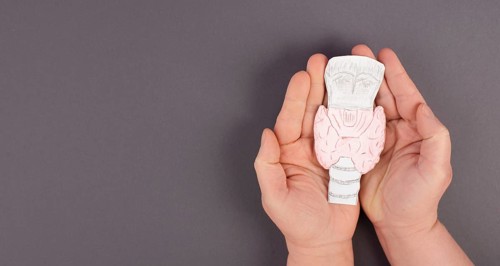 Holding thyroid organ in the hands, drawing paper cut out, hyperthyroidism and hypothyroidism,